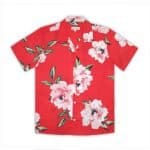 Camisa Jazmín Agua - Zaza Dorali